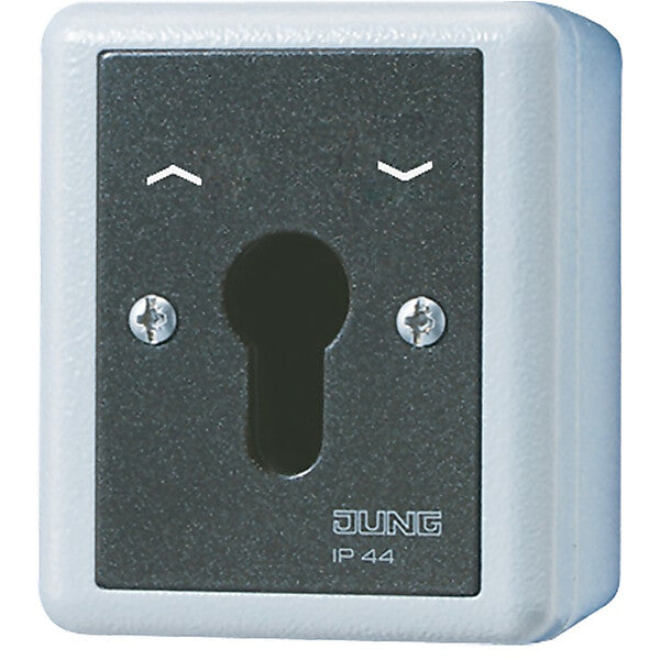 JUNG Schlüsselschalter 10AX 250V 2-pol. 834.28 G